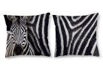 poduszka zebra.jpg