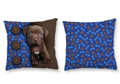 poduszka labrador czeko smyk.jpg