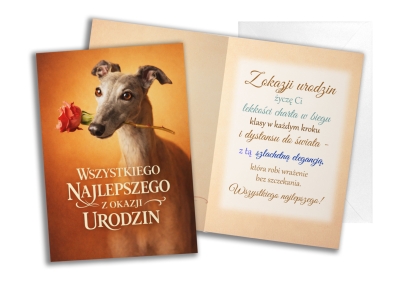 karnet whippet pies.jpg